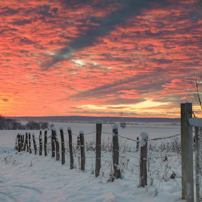 campo coperto di neve durante il tramonto puzzle online