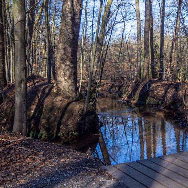 braunes Holzdock am Fluss, umgeben von Bäumen Online-Puzzle