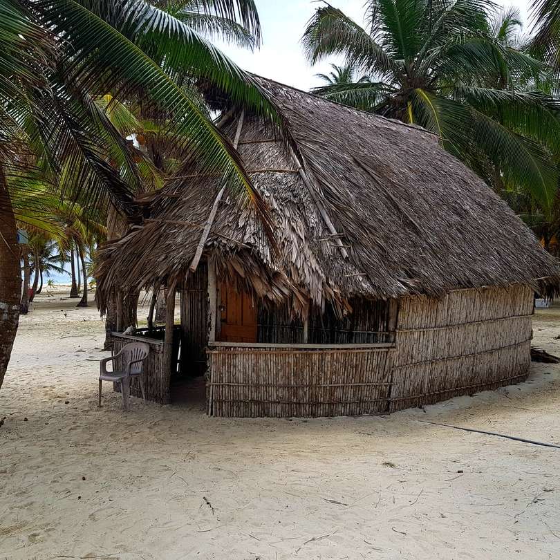 braune Nipa-Hütte in der Nähe von Palmen während des Tages Online-Puzzle