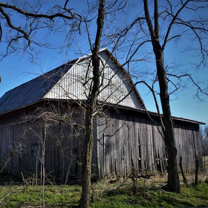 braunes Holzhaus nahe kahlem Baum unter blauem Himmel Schiebepuzzle online