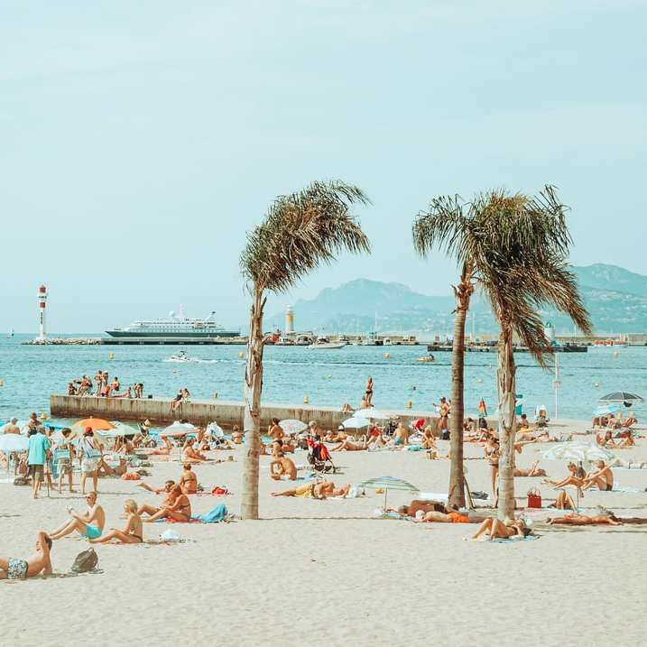 människor på stranden under dagtid glidande pussel online