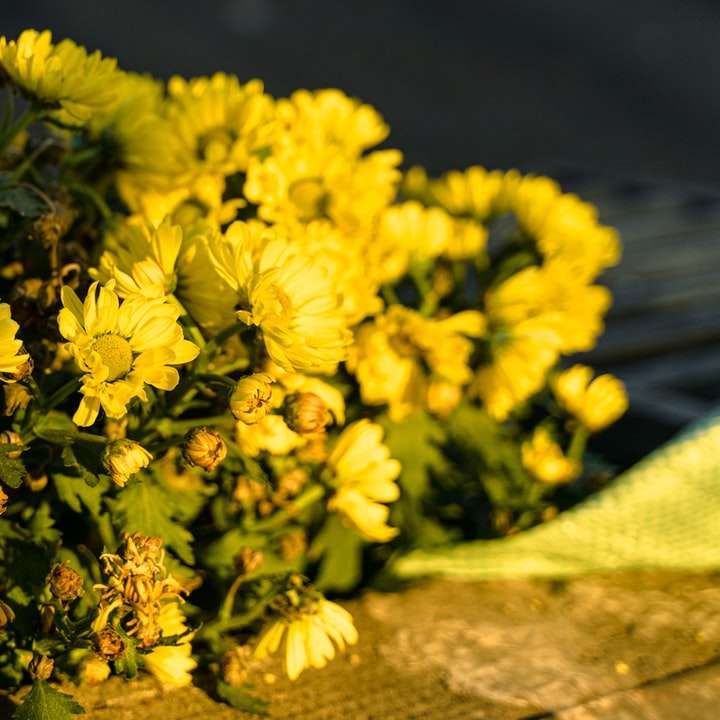 gula blommor på grå sten Pussel online