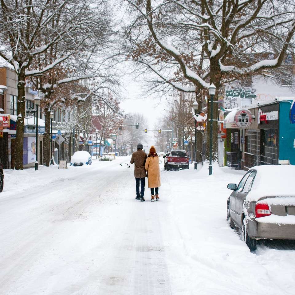 Frau im braunen Mantel, der auf schneebedeckter Straße geht Online-Puzzle