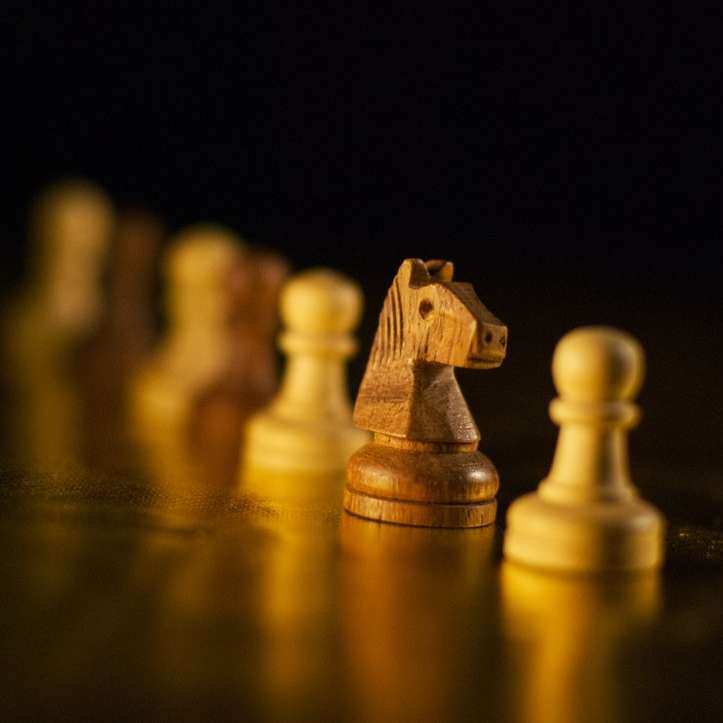 pezzo degli scacchi in legno marrone sul pezzo degli scacchi in legno marrone puzzle online