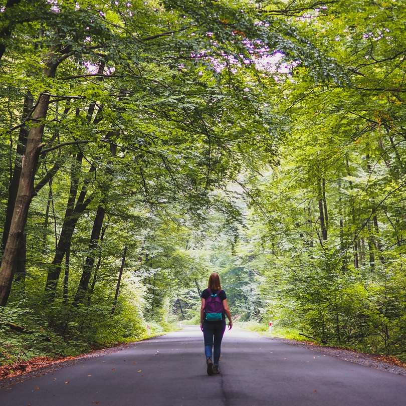 жена в червено яке, ходеща по пътя между дърветата онлайн пъзел