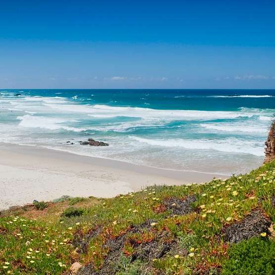 zelená tráva na pobřeží během dne posuvné puzzle online