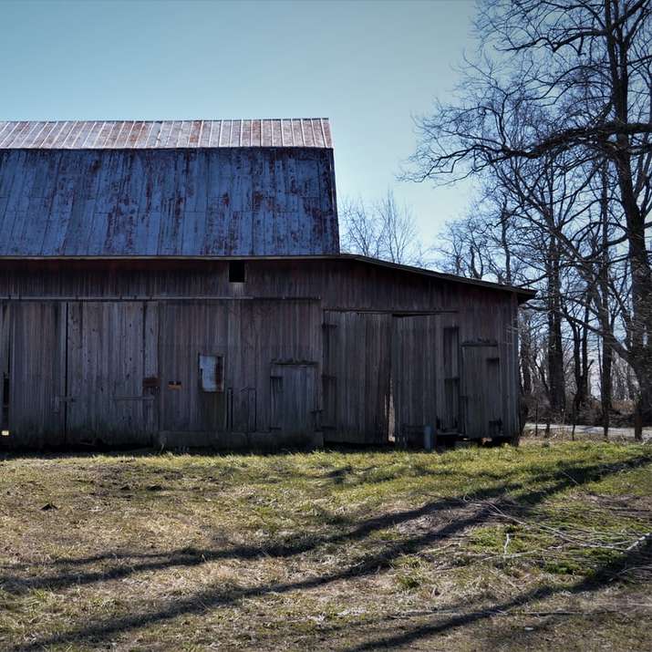 hnědá dřevěná stodola poblíž holých stromů během dne online puzzle