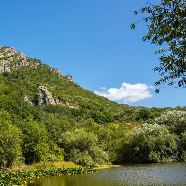 árvores verdes na montanha perto do lago durante o dia puzzle online