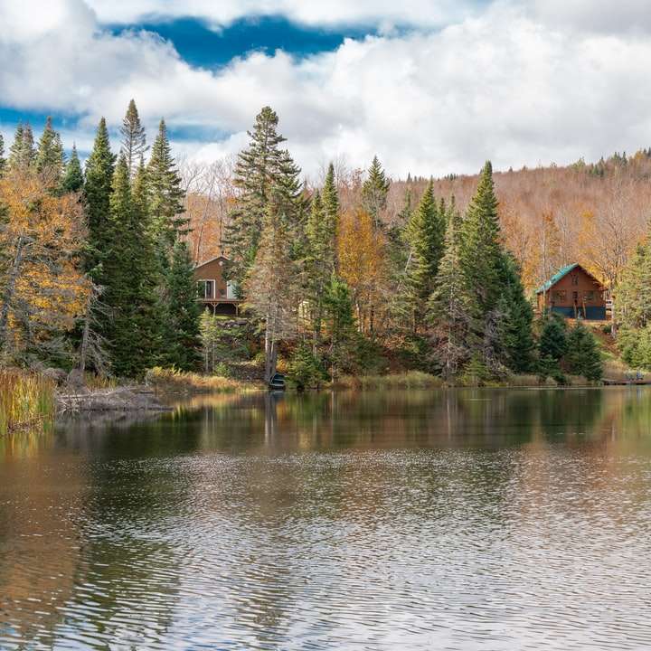 коричневый дом возле зеленых деревьев и озера днем онлайн-пазл