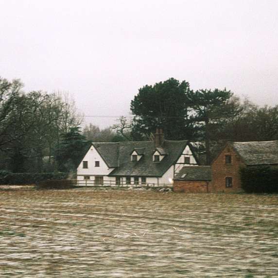 vitt och brunt hus nära gröna träd och vattendrag Pussel online