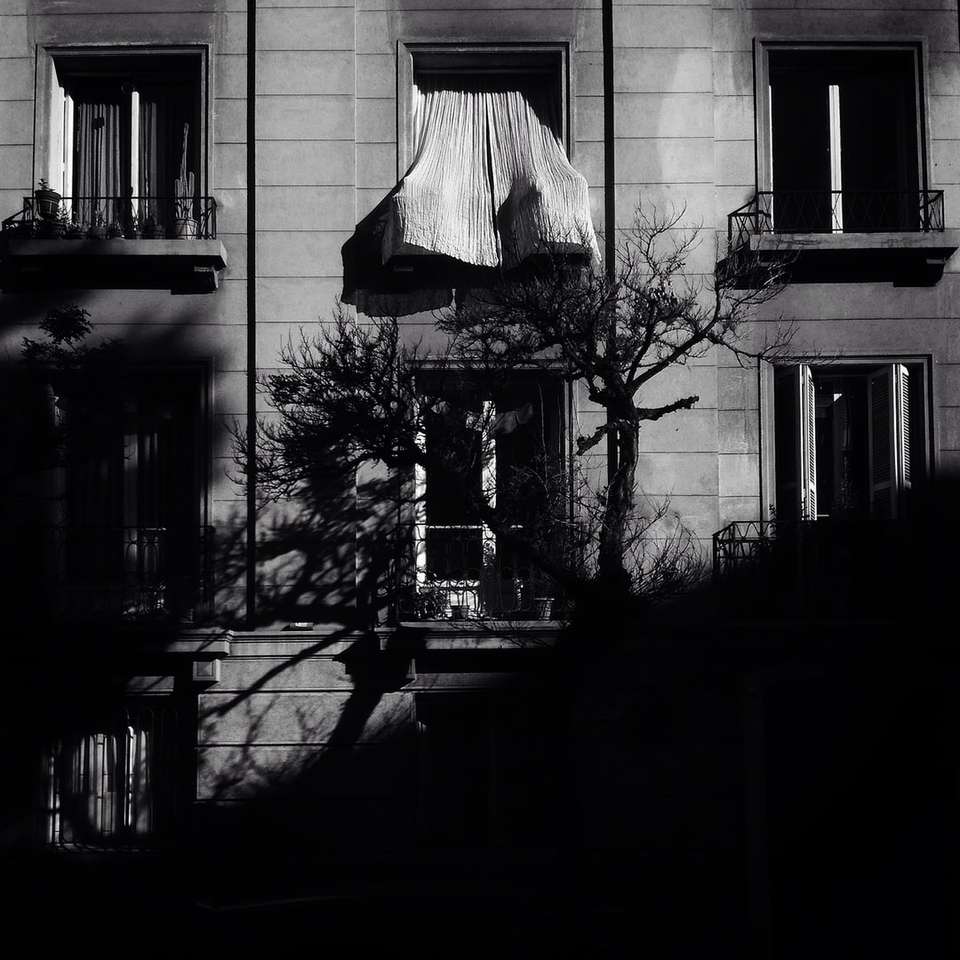 gråskalefoto av trädet framför fönstret glidande pussel online