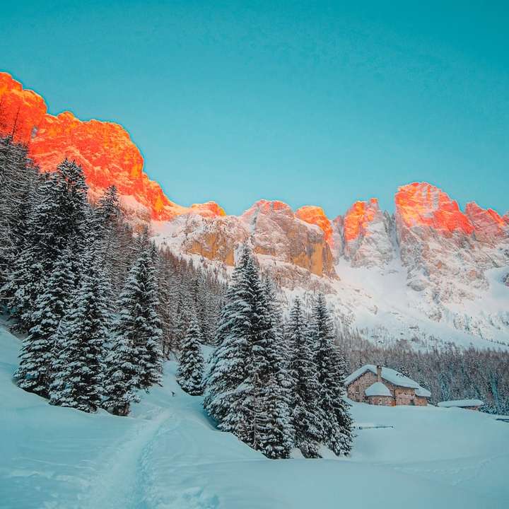 pinheiros cobertos de neve e montanhas durante o dia puzzle online