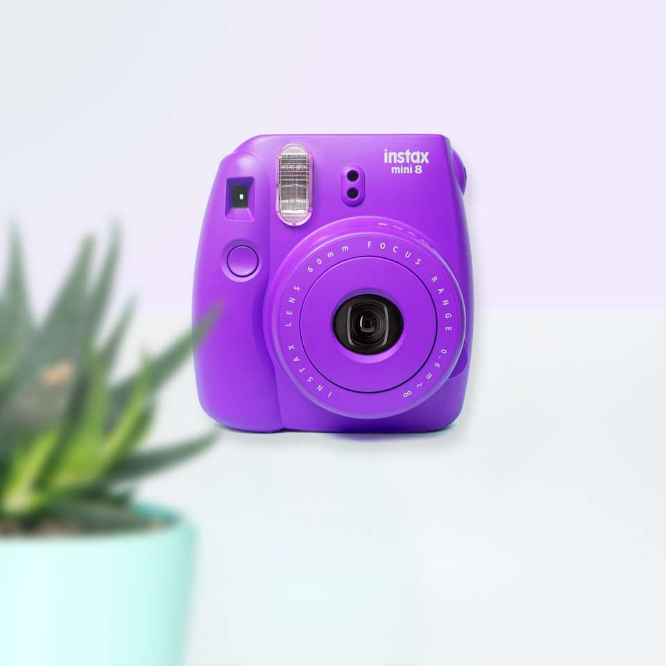 poartă camera Nikon violet și trageți alunecare puzzle online
