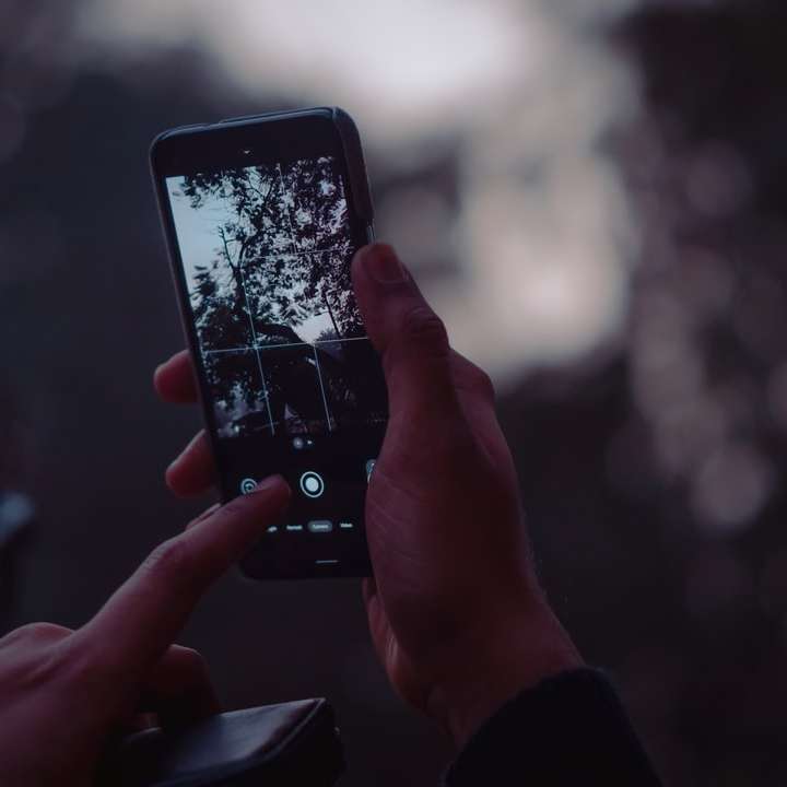 persoon die zwarte iphone 4 houdt die foto van bomen neemt schuifpuzzel online