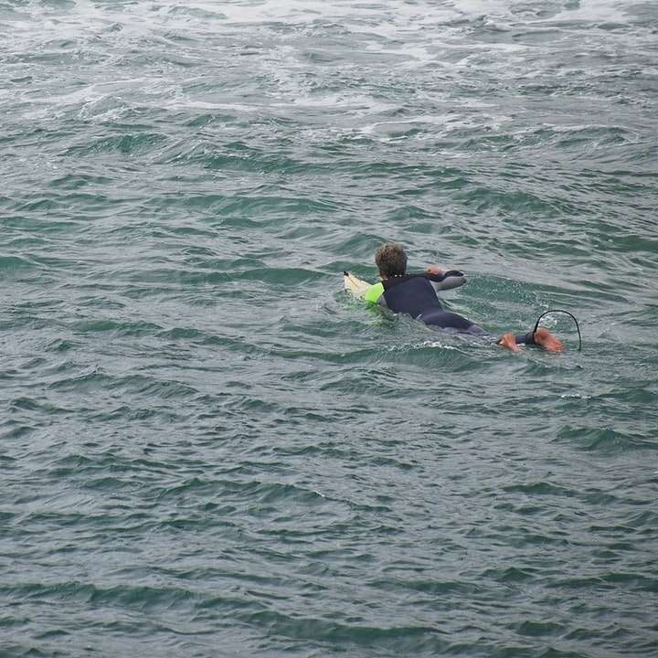 2 pessoas em traje de mergulho azul e preto no corpo d'água puzzle deslizante online