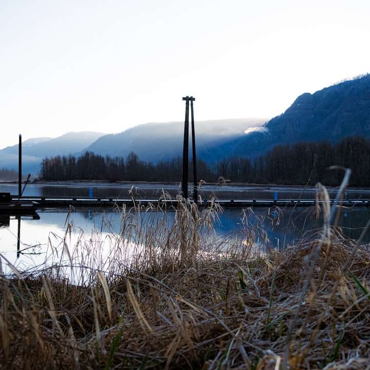 brązowa trawa w pobliżu zbiornika wodnego w ciągu dnia puzzle przesuwne online
