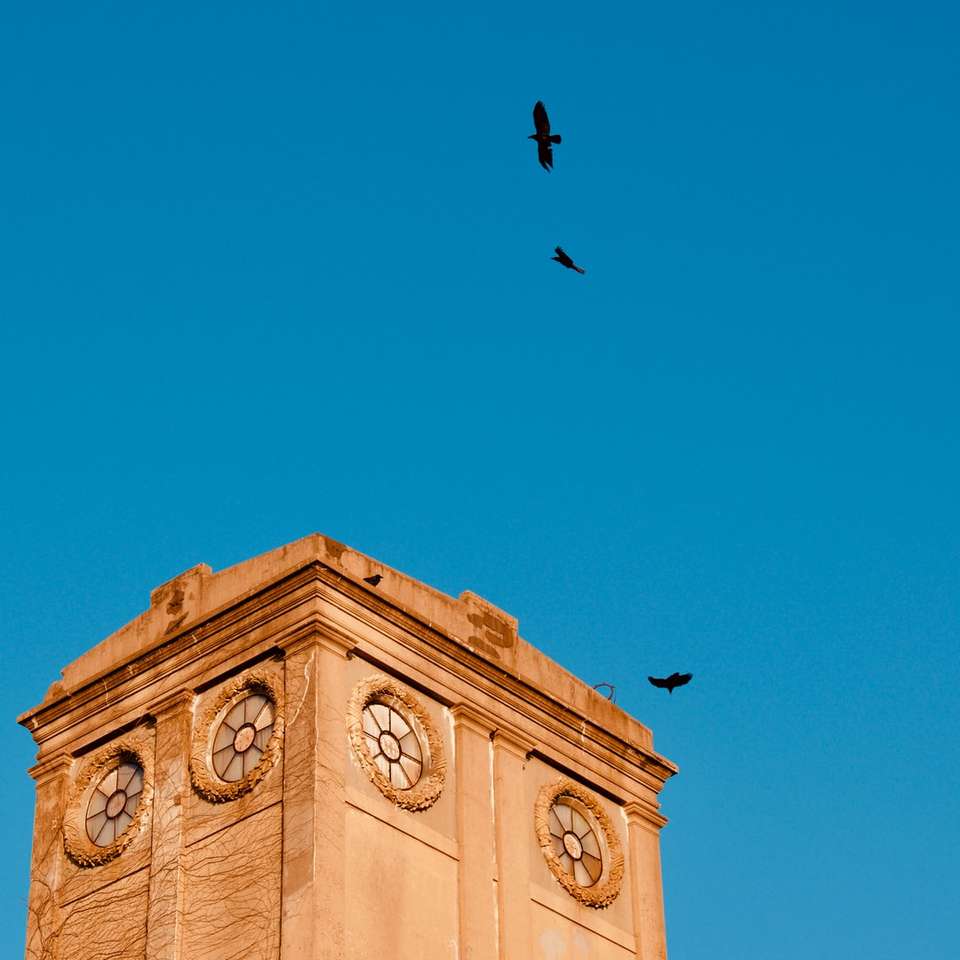 Черная птица пролетает над коричневым бетонным зданием онлайн-пазл