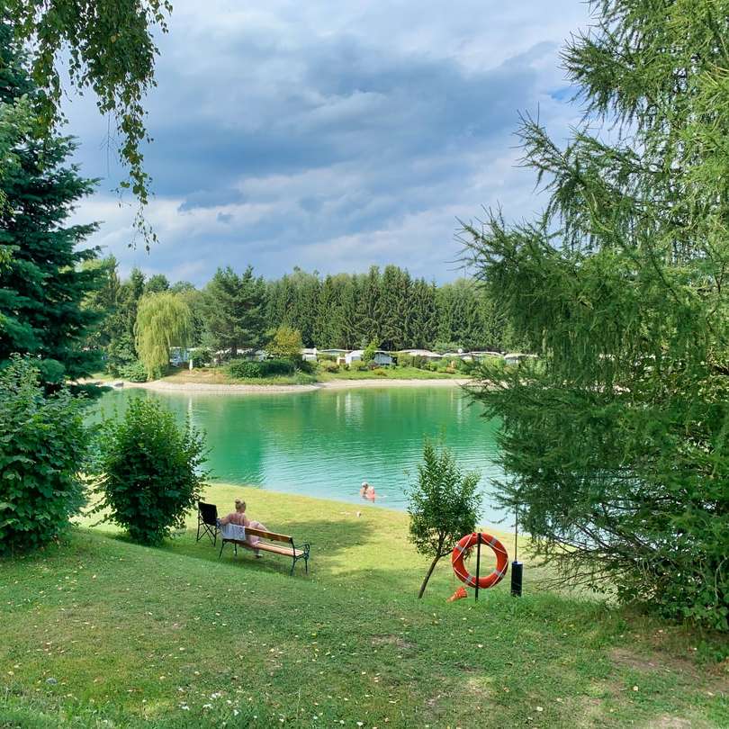 alberi verdi vicino al lago sotto il cielo nuvoloso durante il giorno puzzle online