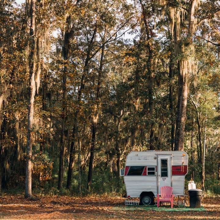 white van in forest during daytime sliding puzzle online