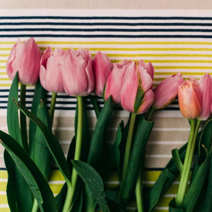 pink tulips in front of yellow and brown wooden wall online puzzle