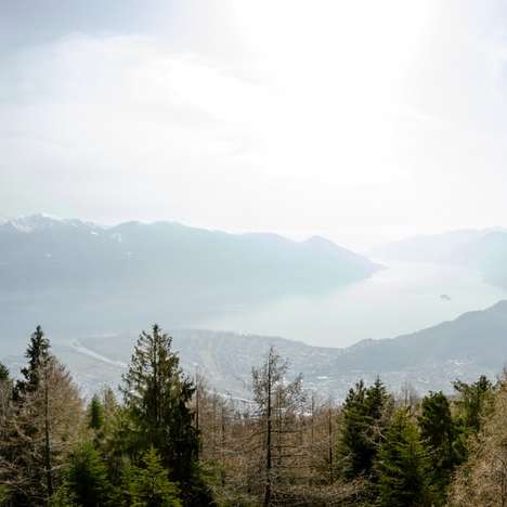 зелени дървета близо до планината през деня онлайн пъзел