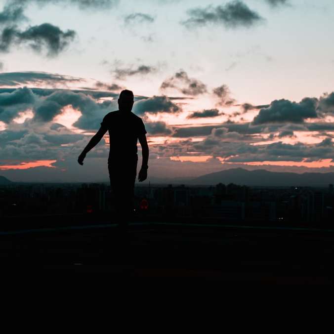 silhueta do homem em pé no campo durante o pôr do sol puzzle online