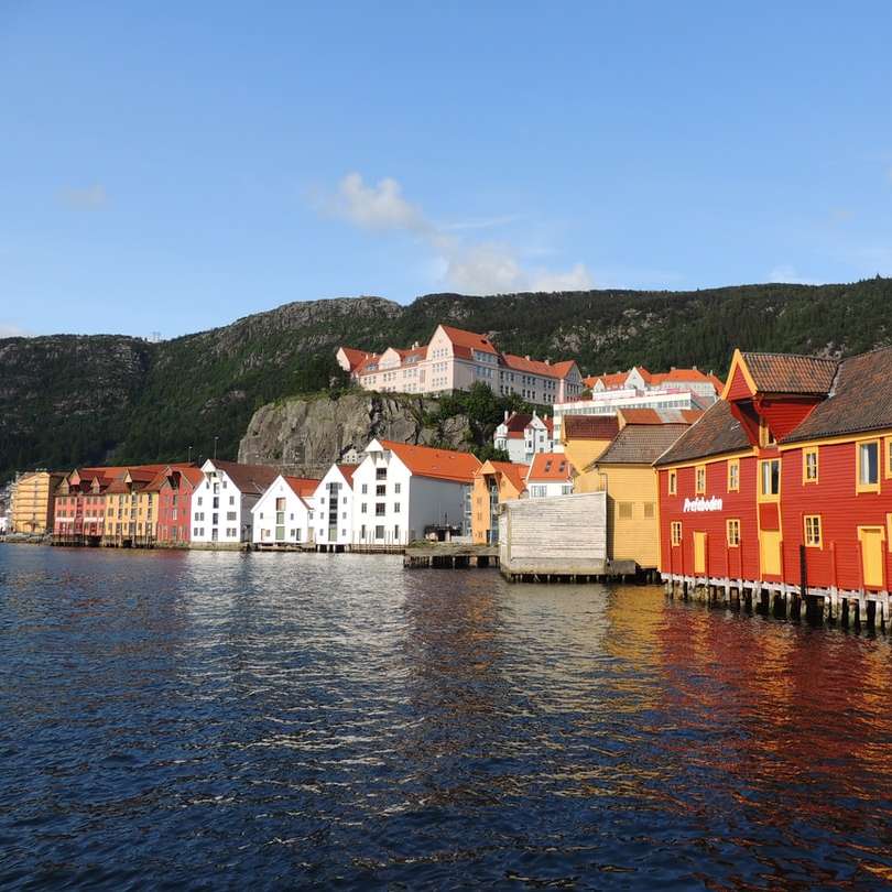 Casele albe și maro de lângă corp de apă sub cerul albastru alunecare puzzle online