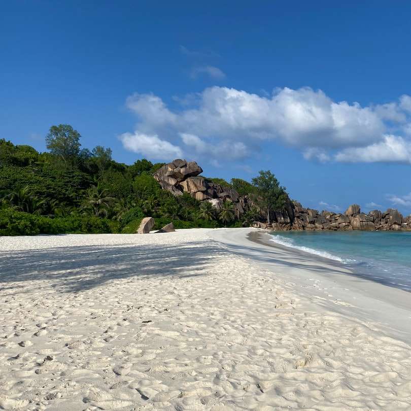 плаж с бял пясък със зелени дървета плъзгащ се пъзел онлайн