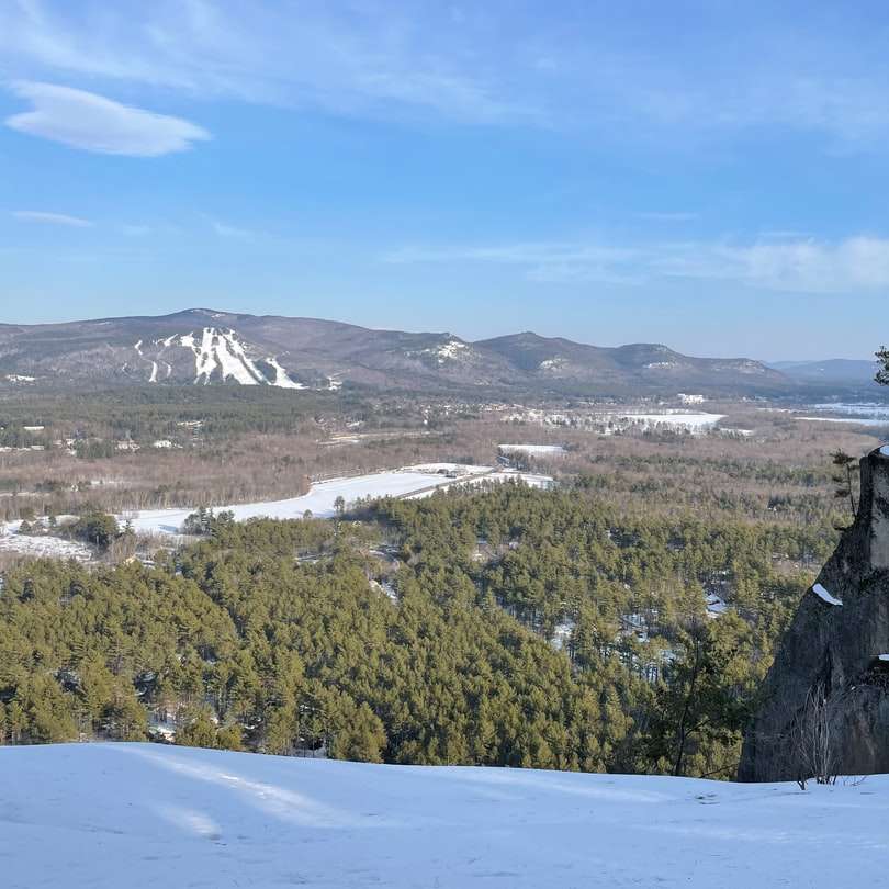 zielone drzewa na zaśnieżonych górach w ciągu dnia puzzle przesuwne online