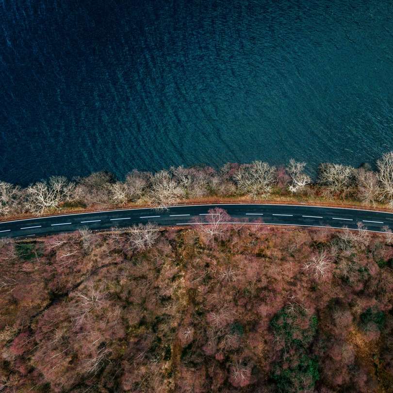 Αεροφωτογραφία των πράσινων δέντρων δίπλα στη γαλάζια θάλασσα κατά τη διάρκεια της ημέρας online παζλ