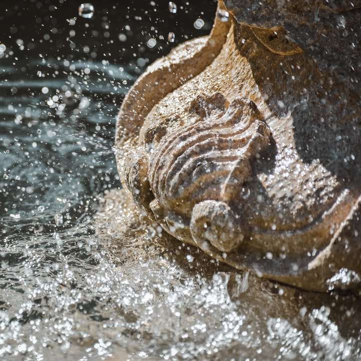 коричневая деревянная рыба на воде онлайн-пазл