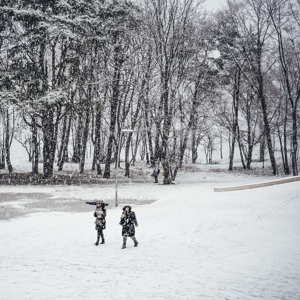 2 persoon die overdag op sneeuw bedekt terrein loopt online puzzel