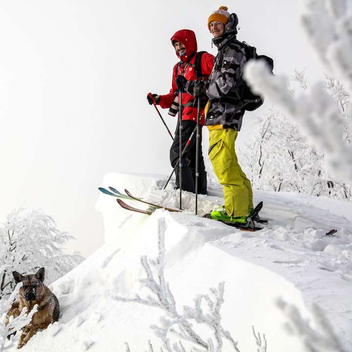 Omul în jachetă roșie și pantaloni negri care călătoresc lamele de schi alunecare puzzle online