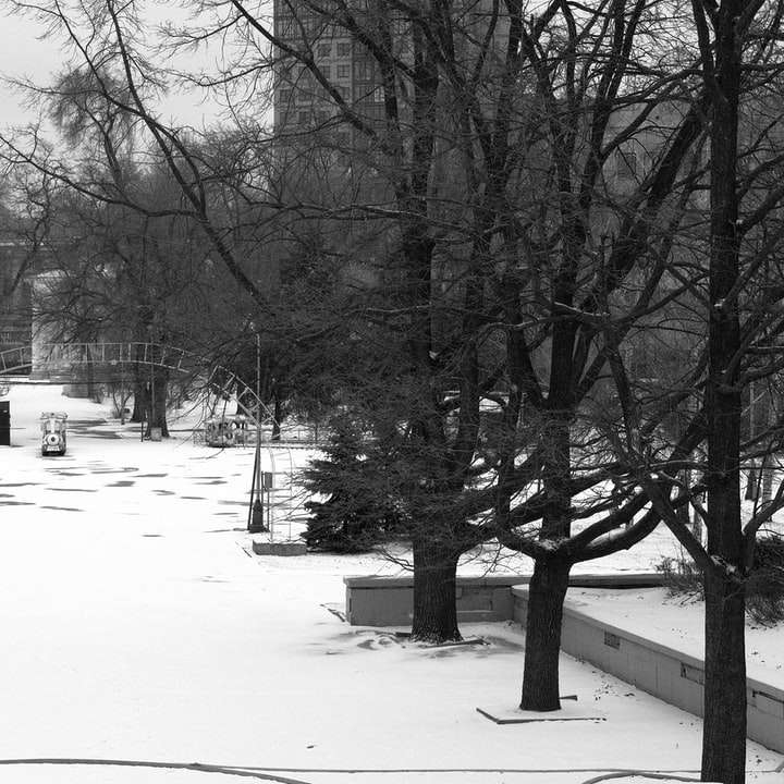 személy sétál a hófödte út közelében csupasz fák online puzzle