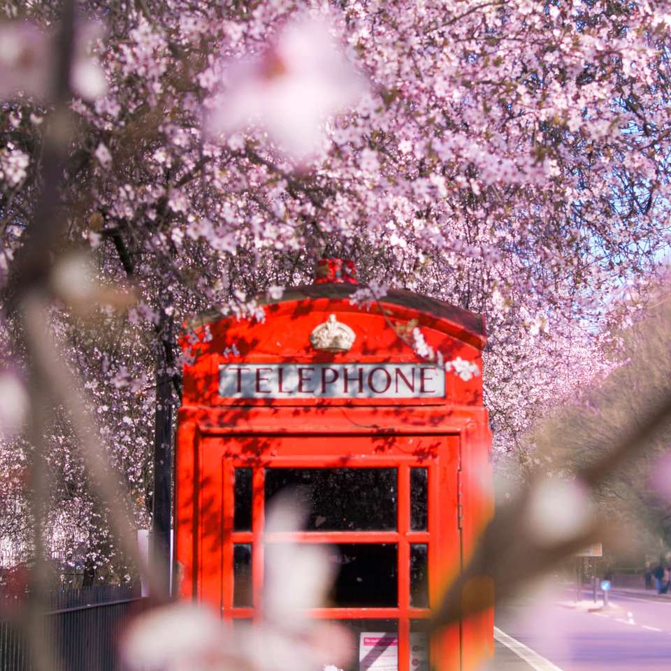 Cabina telefonica rossa vicino agli alberi durante il giorno puzzle scorrevole online