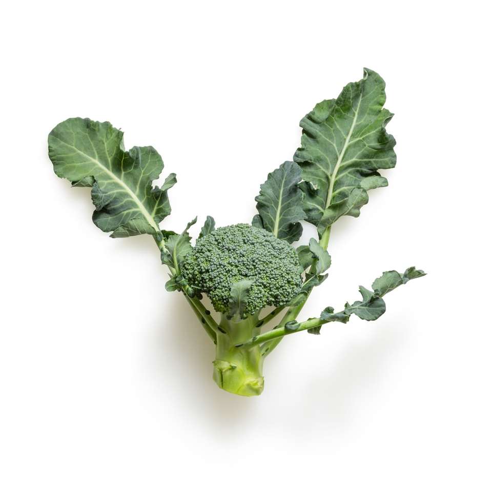 Broccoli verde pe fundal alb puzzle online