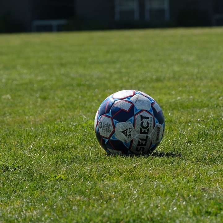 Μπλε λευκή και κόκκινη μπάλα ποδοσφαίρου σε πράσινο γρασίδι online παζλ