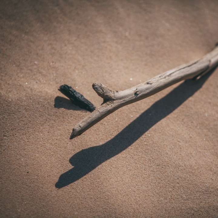Bastone di legno bianco sulla sabbia marrone puzzle online