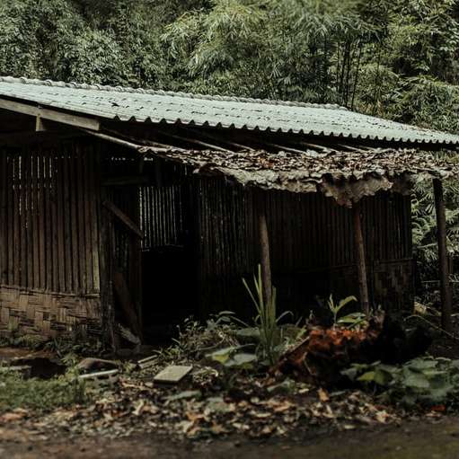 коричневый деревянный дом в окружении зеленых деревьев днем онлайн-пазл