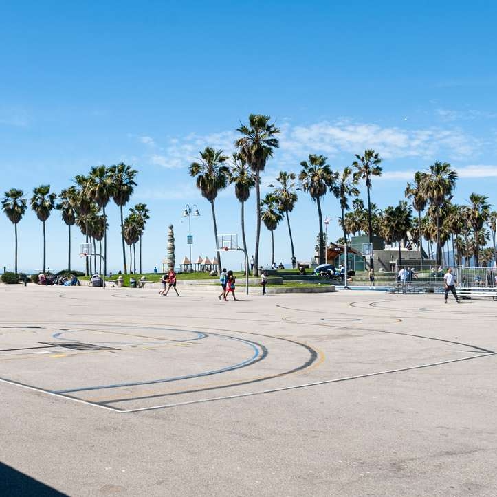 Lidé hrají basketbal na basketbalové hřiště během dne posuvné puzzle online