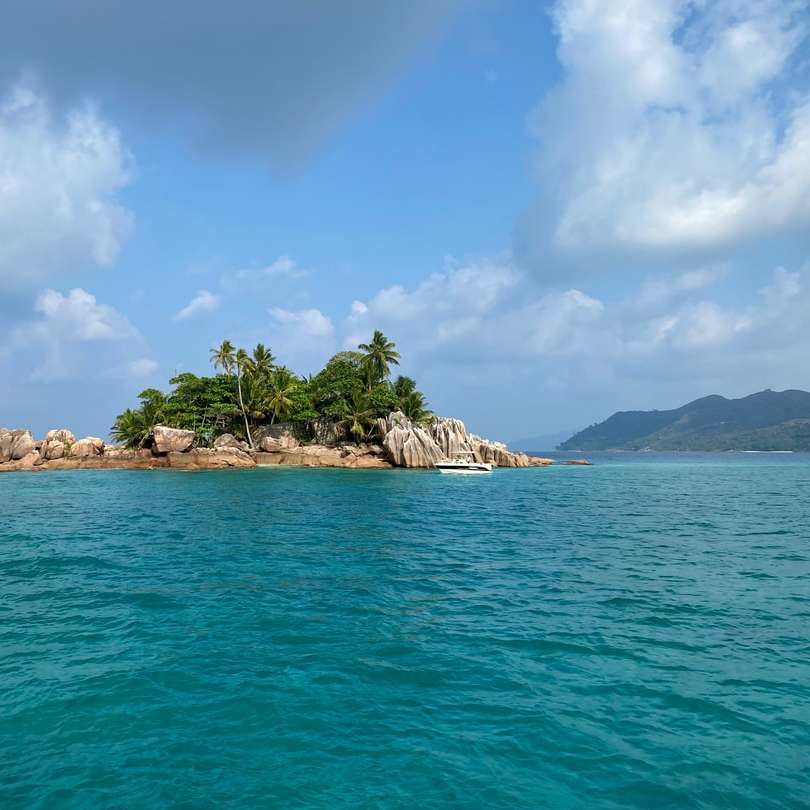 Zelené stromy na ostrově obklopené vodou online puzzle