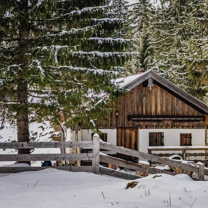 雪に覆われた木々に囲まれた茶色の木造住宅 オンラインパズル