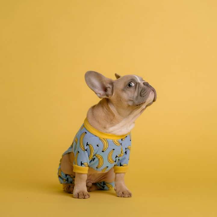 Estatuilla de perros de cerámica marrón y blanco puzzle deslizante online