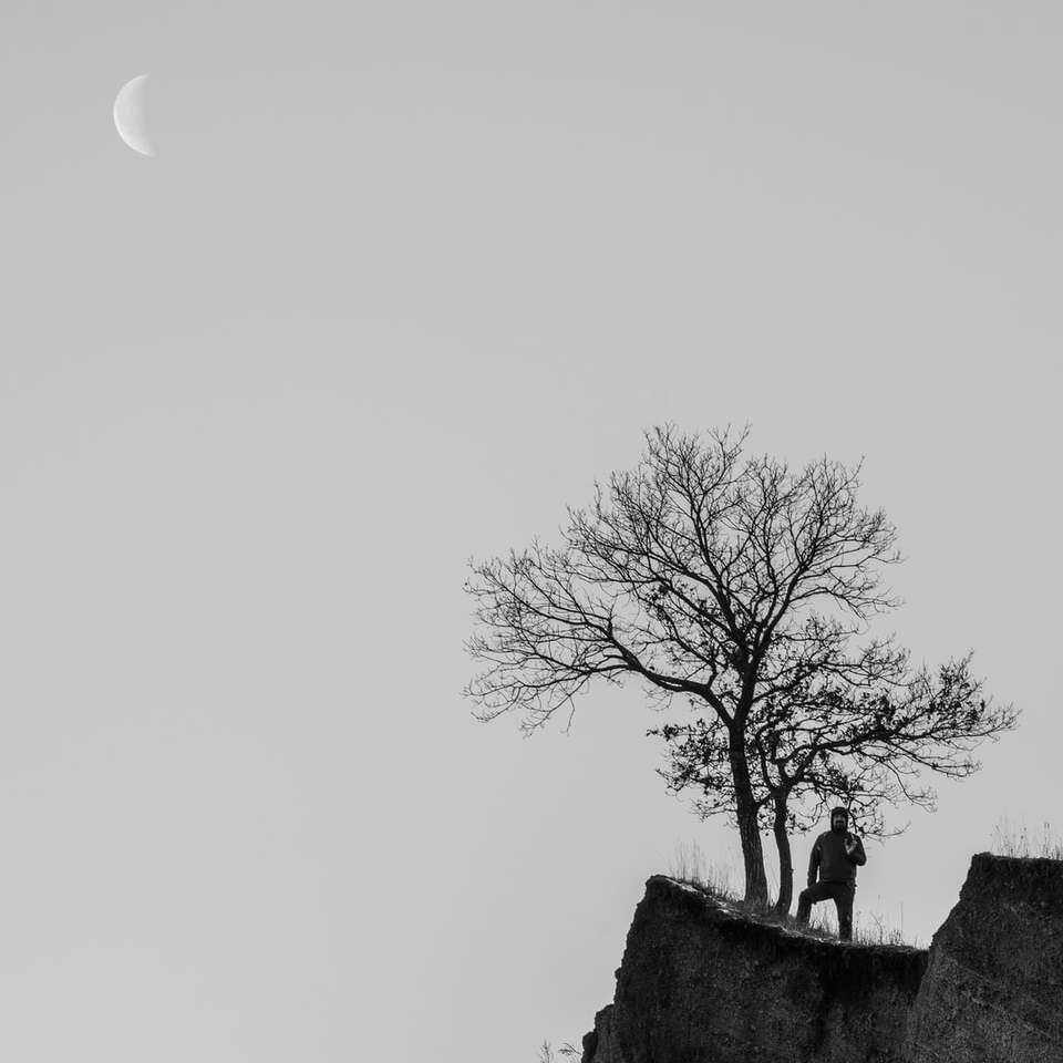 copac goale pe vârful dealului alunecare puzzle online
