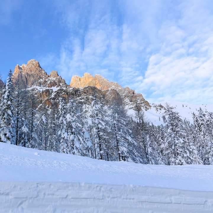 Copacii acoperiți de zăpadă și munți sub cerul albastru alunecare puzzle online