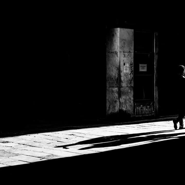 Foto de grayscale de 2 mulheres andando na calçada puzzle online