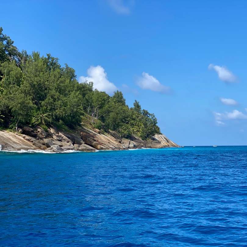 Biała żaglówka na morzu blisko zielonych drzew pod błękitnym niebem puzzle online