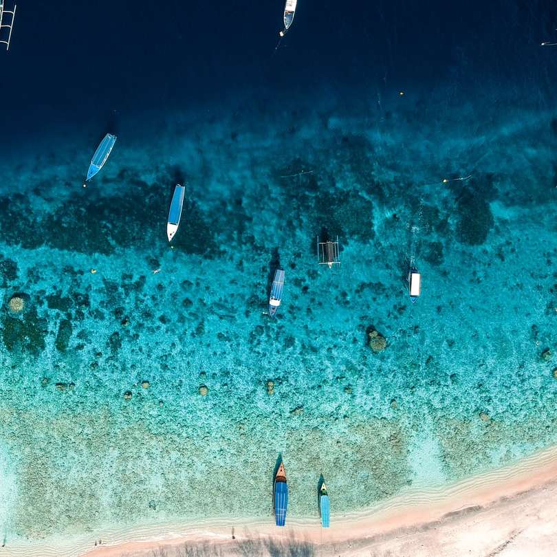 Vedere aeriană a persoanelor care navighează pe mare în timpul zilei puzzle online