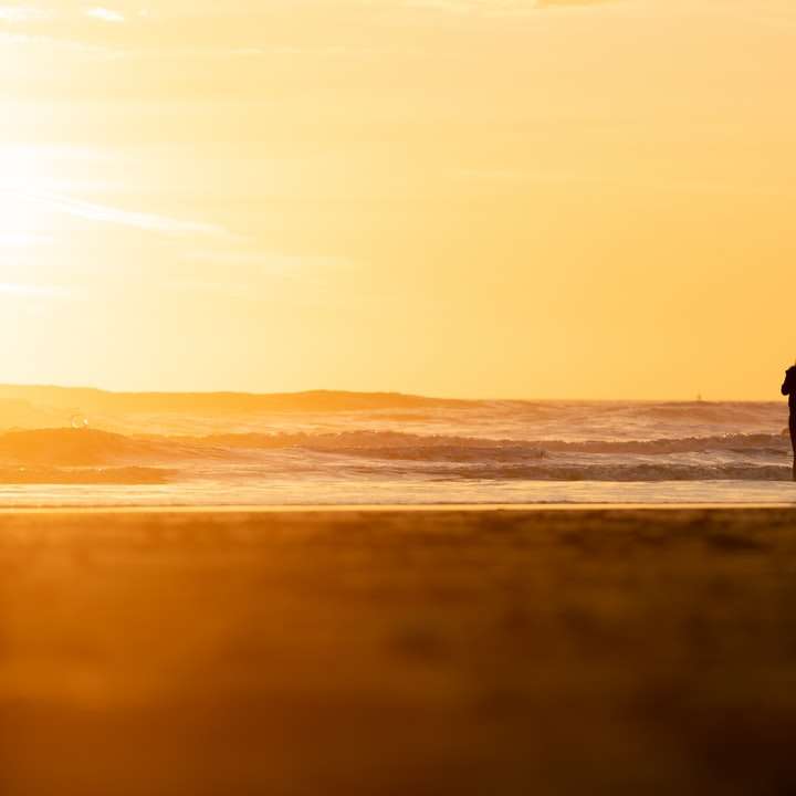 Silhouette des Mannes und der Frau, die auf Strand während des Sonnenuntergangs geht Online-Puzzle