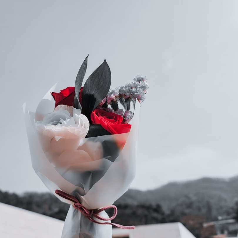 Rose blanche et rouge sur un sol recouvert de neige blanche puzzle coulissant en ligne